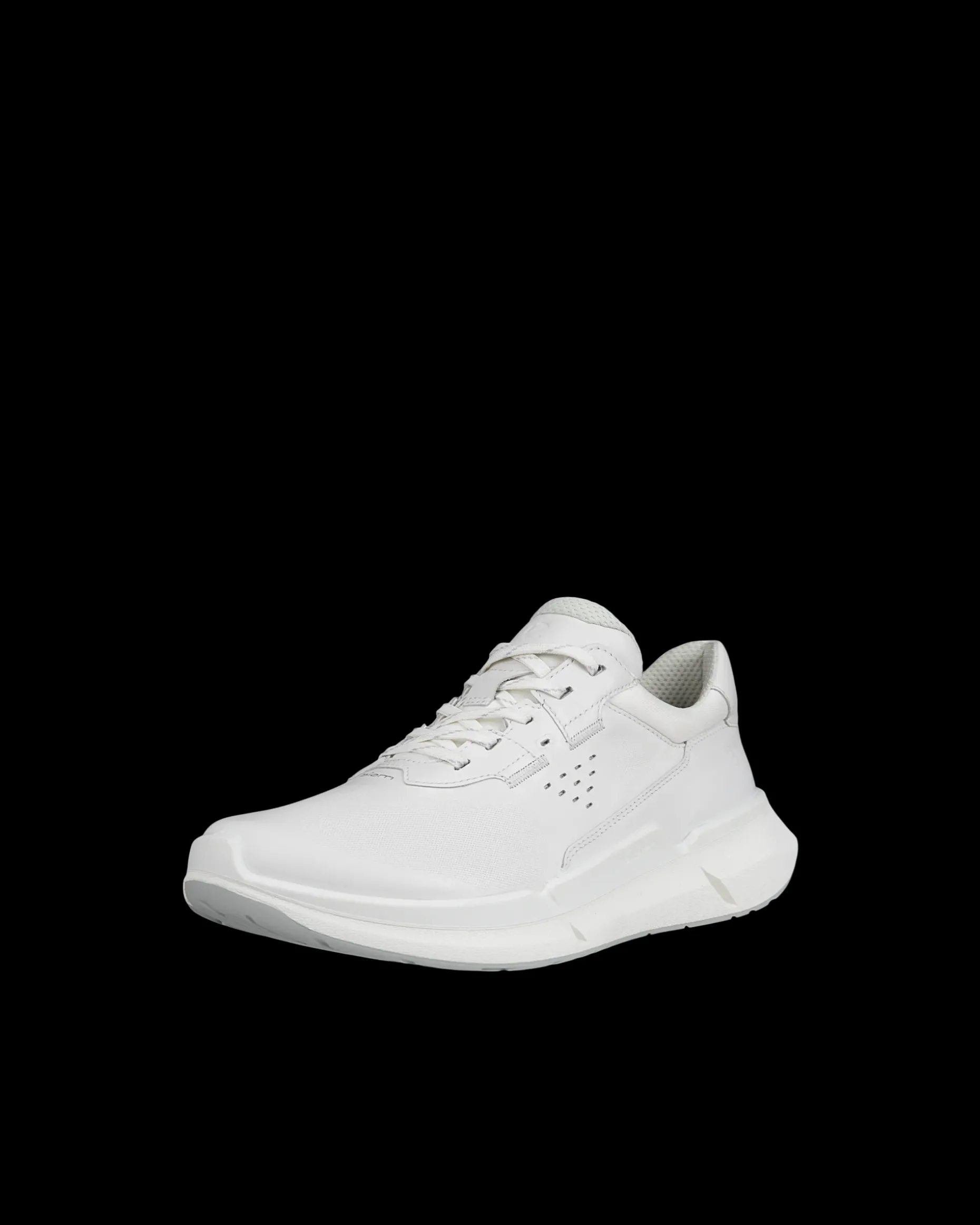 ecco_biom__w_1-5.webp ECCO BIOM 2.2 W