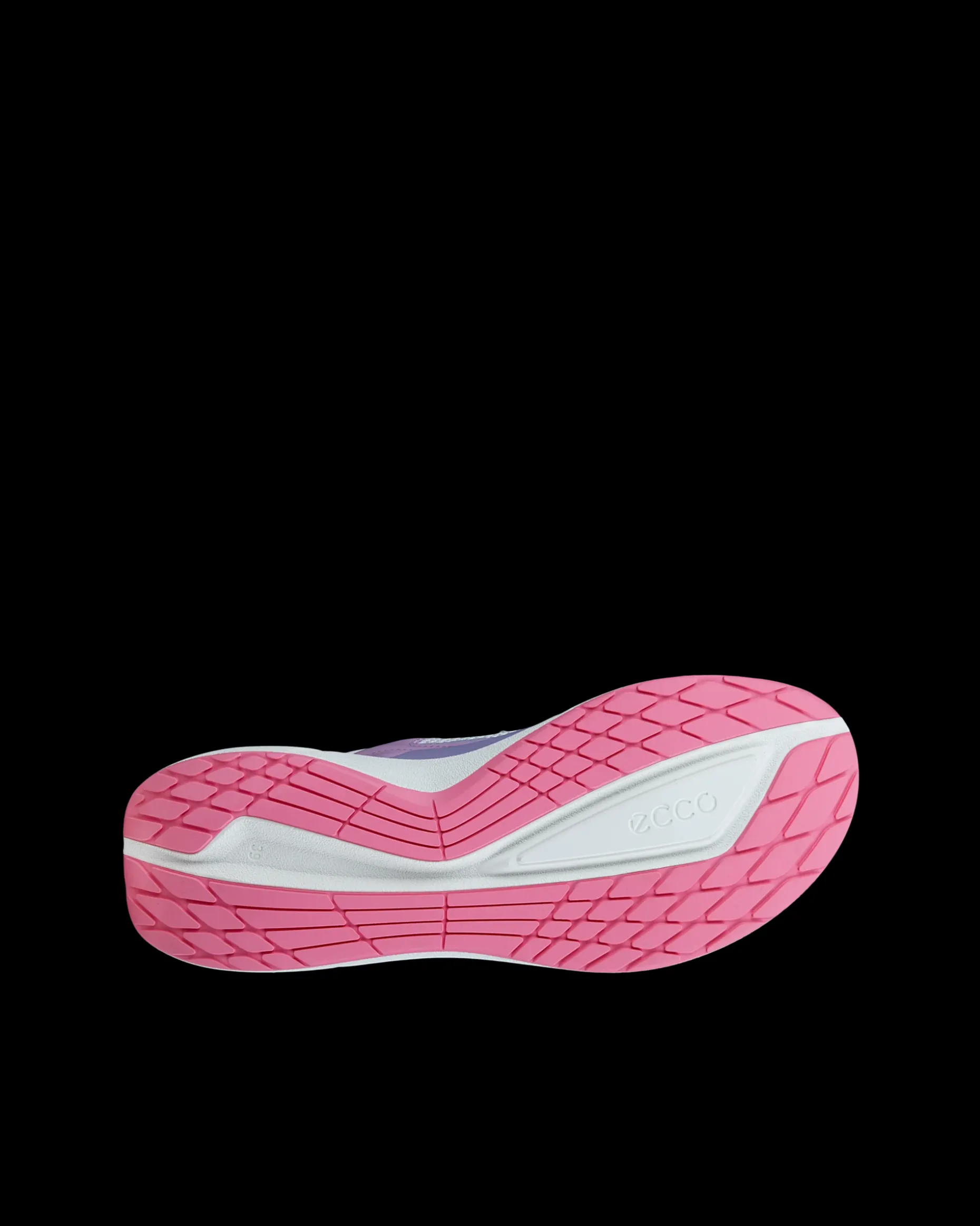 ecco_biom__w_3-1.webp ECCO BIOM 2.2 W