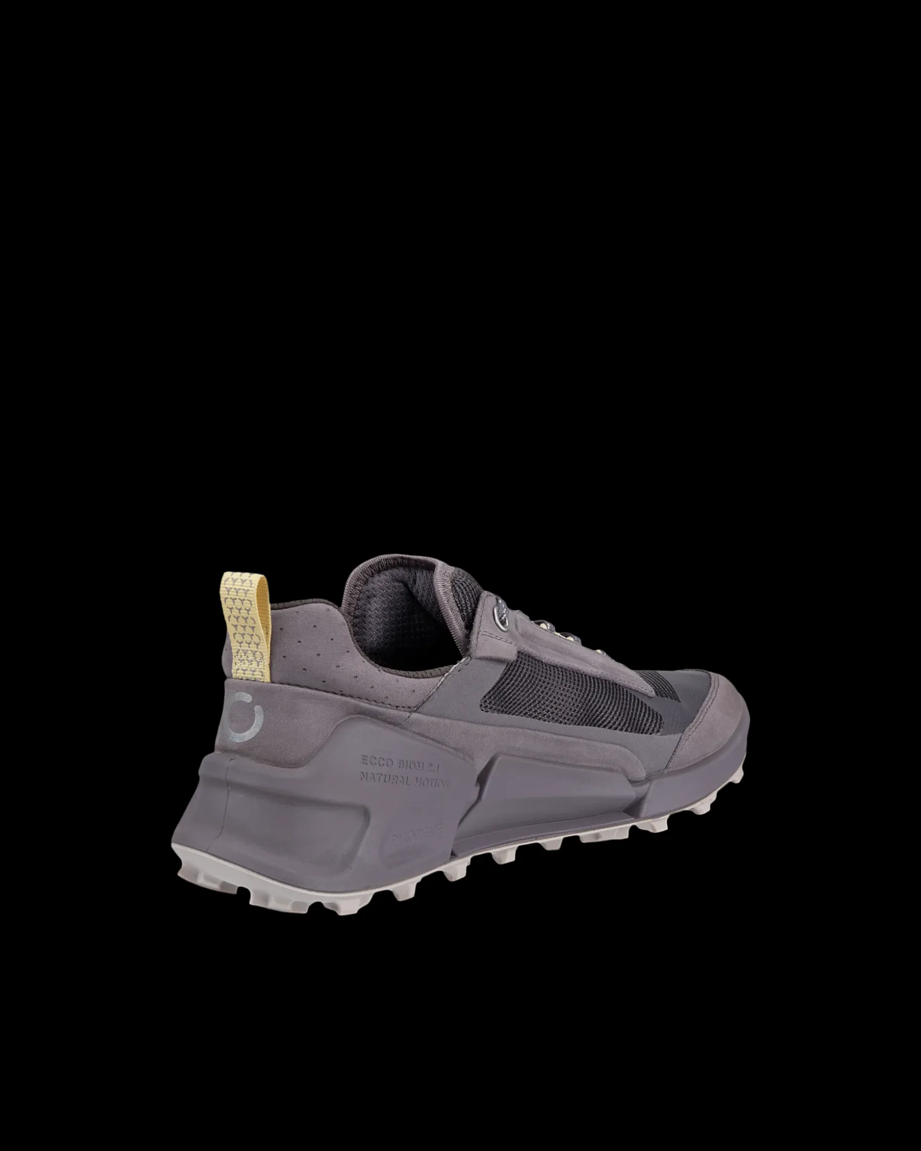 ecco_biom__x_mountain_w_2.webp ECCO BIOM 2.1 X MOUNTAIN W