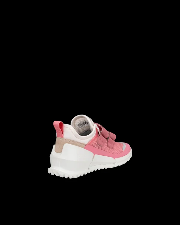 ECCO BIOM K1