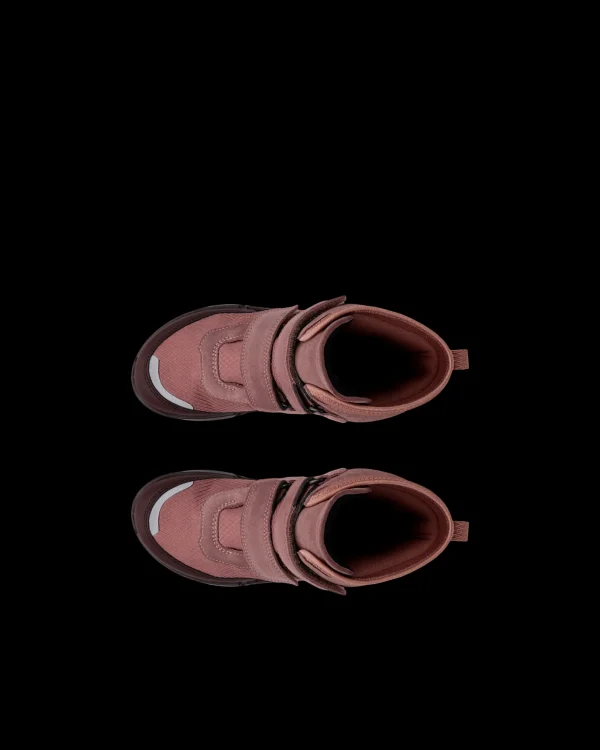 ECCO BIOM K2