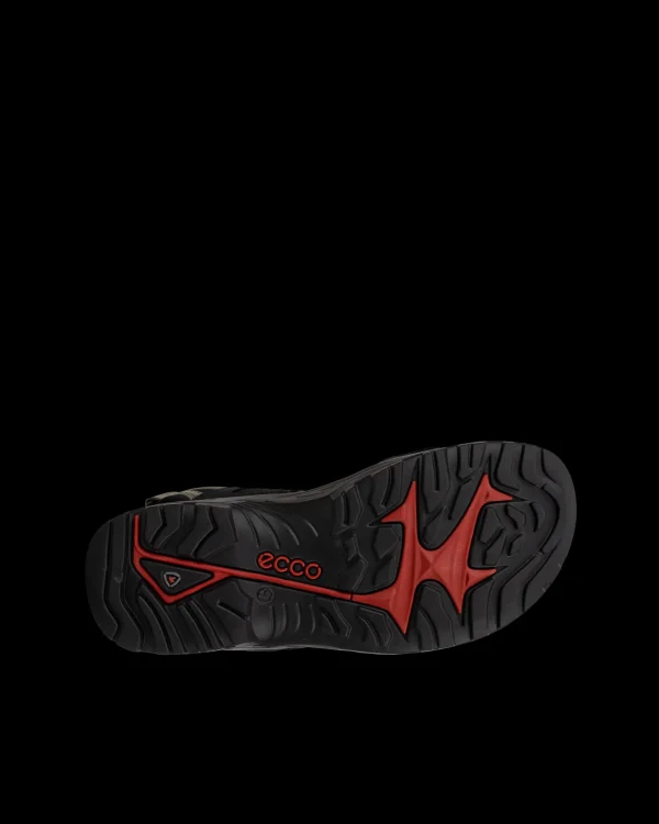 ECCO OFFROAD